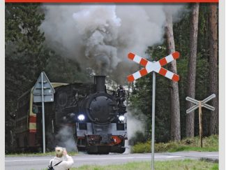 Świat Kolei numer 11/2025